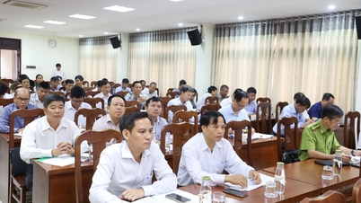 Ngành Nông nghiệp và Phát triển nông thôn triển khai nhiệm vụ 6 tháng cuối năm 2024