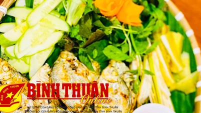 ពេលមកទុយផុង កុំភ្លេចហូបត្រីខកំប៉ុង!