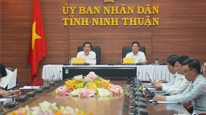 Hội nghị trực tuyến về Kế hoạch thực hiện Quy hoạch phát triển điện lực quốc gia thời kỳ 2021 – 2030, tầm nhìn đến năm 2050