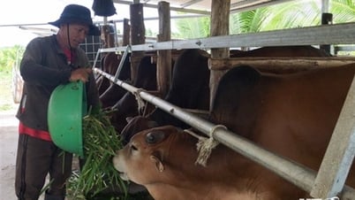 Hội Nông dân huyện Ninh Sơn: Đẩy mạnh các phong trào thi đua