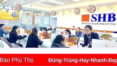 ការផ្លាស់ប្តូរឌីជីថលសម្រាប់ការអភិវឌ្ឍប្រកបដោយចីរភាព