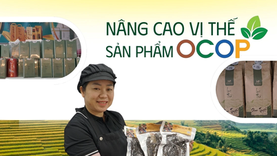 https://baolaocai.vn/โพสต์ซานฟามโอคอป395389.html