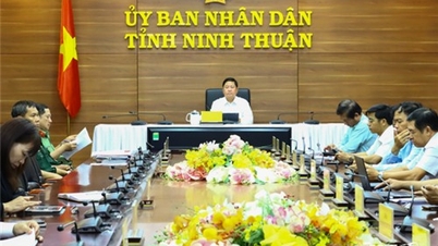 សន្និសីទអនឡាញស្តីពីការលើកកម្ពស់ការទូតសេដ្ឋកិច្ចសម្រាប់ការអភិវឌ្ឍន៍នៅឆ្នាំ២០២៤