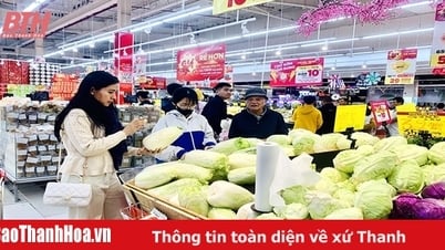 ការតភ្ជាប់ "ក្បាលរថភ្លើង" ដែលជាមជ្ឈមណ្ឌលថាមវន្តនៃការអភិវឌ្ឍន៍ខេត្ត