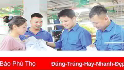 Hiệu quả từ mô hình câu lạc bộ, tổ, đội, nhóm thanh niên