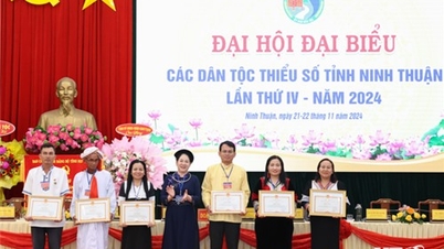 NTO - មហាសន្និបាតជនជាតិភាគតិចលើកទី៤ នៅខេត្ត Ninh Thuan