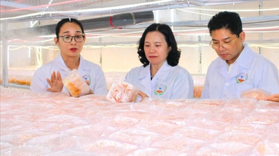 Hai Duong Central College of Pharmacy needs to promote medicinal products
