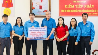 คณะกรรมการแนวร่วมปิตุภูมิเวียดนามประจำจังหวัด: ได้รับเงินกว่า 900 ล้านดองเพื่อช่วยเหลือประชาชนในการเอาชนะผลกระทบของพายุหมายเลข 3