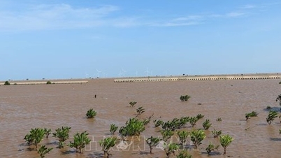 ADB បន្តគាំទ្រវៀតណាមក្នុងការឆ្លើយតបទៅនឹងការប្រែប្រួលអាកាសធាតុ