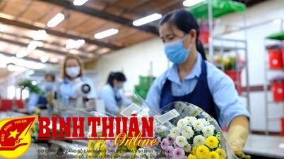 ការសាបព្រួស "គ្រាប់ពូជក្រហម" នៅក្នុងសហគ្រាសមិនមែនរដ្ឋ។ មេរៀនទី២