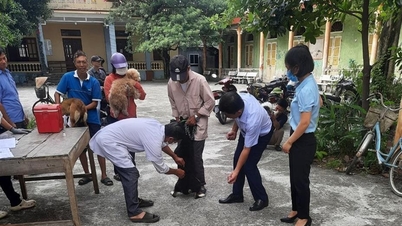 Hải Dương có hơn 94.000 hộ nuôi chó mèo có đăng ký