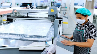 5 tháng, giá trị hàng hóa xuất khẩu của Hải Dương tăng 7,2%