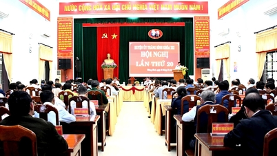 Tốc độ tăng trưởng kinh tế huyện Thăng Bình đạt 10,94%