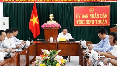 UBND tỉnh họp nghe báo cáo điều chỉnh, bổ sung Đề án phát triển chăn nuôi