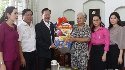 ថ្នាក់ដឹកនាំក្រុមប្រឹក្សាខេត្ត ចុះសួរសុខទុក្ខ និងជូនពរឆ្នាំថ្មីដល់បុគ្គលឆ្នើម