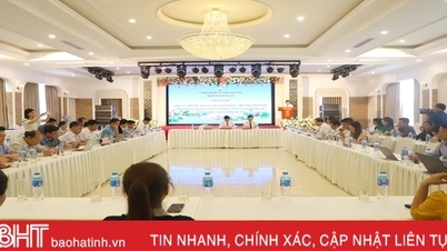 សេដ្ឋកិច្ចសមូហភាពលើកកម្ពស់ការផ្លាស់ប្តូរឌីជីថល ការផលិត និងការប្រើប្រាស់ស្របតាមខ្សែសង្វាក់តម្លៃ