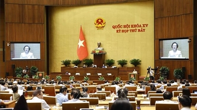 Kỳ họp thứ 7, Quốc hội khóa XV: Thảo luận về cải cách tiền lương, điều chỉnh lương hưu