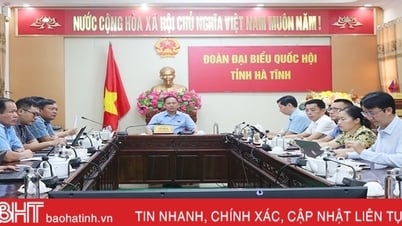 ប្រតិភូរដ្ឋសភាបានចោទសួរបញ្ហាជាច្រើនក្នុងវិស័យតុលាការ។