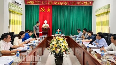 Đoàn kiểm tra của Ban Thường vụ Tỉnh ủy làm việc với Đảng ủy cơ quan Tỉnh đoàn