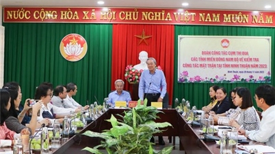 គណៈប្រតិភូការងារនៃក្រុមត្រាប់តាមរណសិរ្សមាតុភូមិវៀតណាមនៃខេត្តភាគអាគ្នេយ៍បានធ្វើការជាមួយគណៈកម្មាធិការរណសិរ្សមាតុភូមិវៀតណាមនៃខេត្ត។