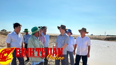 ប្រធាន​គណៈកម្មាធិការ​ប្រជាជន​ខេត្ត​ចុះ​ពិនិត្យ​ការ​បង្ការ​គ្រោះ​រាំង​ស្ងួត និង​បង្ការ​ភ្លើង​ឆេះ​ព្រៃ​នៅ​ខេត្ត Ham Thuan Nam