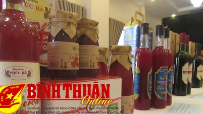 បញ្ជីនៃគម្រោងលើកកម្ពស់ឧស្សាហកម្មនៅឆ្នាំ 2024