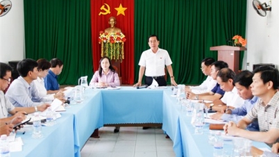 Delegation Group No. 8 of the Provincial People's Council: Supervising the implementation of Resolution No. 37/NQ-HDND at Dong Hai Fishing Port