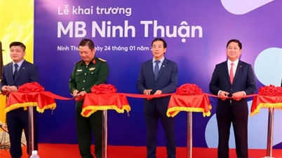 MB បើកសាខា Ninh Thuan