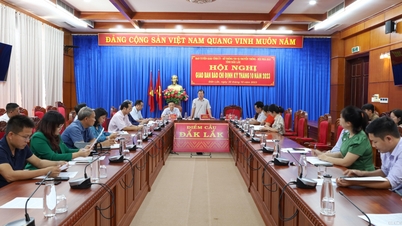 សន្និសីទសារព័ត៌មានប្រចាំខែតុលា ឆ្នាំ២០២៣