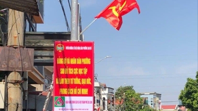 The first "Farmer Flag Street" in Chi Linh