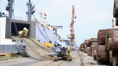 Miễn giảm thuế cho người dân, doanh nghiệp bị thiệt hại bởi bão số 3