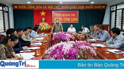 ការដោះស្រាយបញ្ហាក្នុងការបោសសំអាតទីតាំងសម្រាប់ក្រុមហ៊ុនភាគហ៊ុនរួមផលិតផលព្រៃឈើ Quang Tri