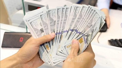 Giá USD sáng 8/7 vẫn neo ở mức cao