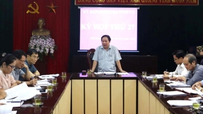 Hai Duong überprüfte 34 Parteiorganisationen und 123 Parteimitglieder und stellte fest, dass es Anzeichen für Verstöße gab.