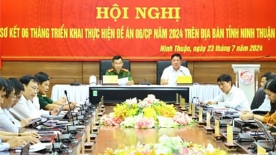 Sơ kết 6 tháng đầu năm thực hiện Đề án 06/CP