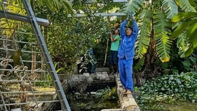 Kim Thanh handles violations of irrigation works reaching nearly 99%