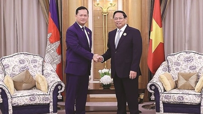 NTO - Tăng cường hơn nữa quan hệ hữu nghị truyền thống và hợp tác toàn diện Việt Nam