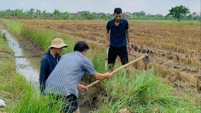 អ្នកប្រមាញ់កណ្ដុរវាលរកបានរាប់លានជារៀងរាល់ថ្ងៃ