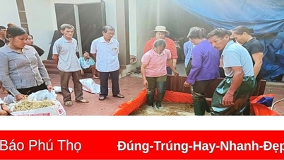 مساعدة الناس على الهروب من الفقر
