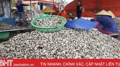 ហេតុអ្វីបានជាសហករណ៍ Ha Tinh ពិបាកទទួលបានដើមទុនពីធនាគារ?