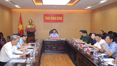 Hội nghị trực tuyến về ứng phó với áp thấp nhiệt đới có khả năng mạnh lên thành bão