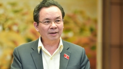 Đại biểu Quốc hội lo 'cơn lốc' Temu triệt tiêu hàng nội