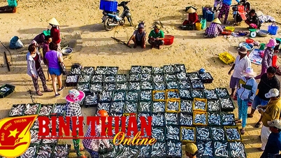 បង្កើត​ជីវភាព​ប្រជា​នេសាទ​ឱ្យ​រួច​ផុត​ពី​ភាព​ក្រីក្រ
