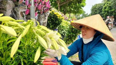 ផ្កាលីលីនៅតាមផ្លូវ