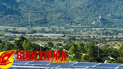 SOLARCOM: Khoác chiếc áo màu xanh