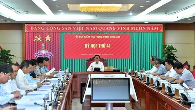 Propose to consider and discipline the Standing Committee of the Ho Chi Minh City Party Committee for the 2010-2015 term and comrades Le Thanh Hai, Le Hoang Quan, and Nguyen Thanh Phong.