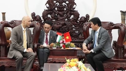 Đồng chí Nguyễn Long Biên, UVTV Tỉnh ủy, Phó Chủ tịch UBND tỉnh tiếp Đại sứ Các tiểu vương quốc Ả rập Thống nhất tại Việt Nam