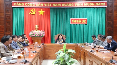 សង្ខេបកិច្ចការបរទេសឆ្នាំ២០២៤