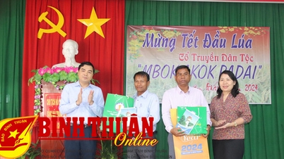 អនុប្រធានអចិន្ត្រៃយ៍គណៈកម្មាធិការបក្សខេត្ត អបអរសាទរឆ្នាំថ្មីលើវាលស្រែនៃឃុំ Phan Dien និង Phan Tien។