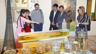 ស្ថានទូតអង់គ្លេសប្រចាំនៅវៀតណាម ធ្វើទស្សនកិច្ច និងធ្វើការជាមួយឧទ្យានជាតិ Pu Mat
